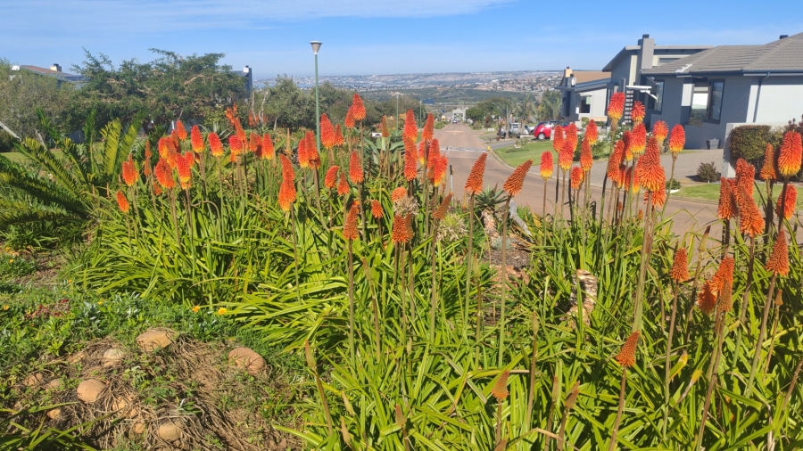 Commercial Property for Sale in Monte Christo Western Cape